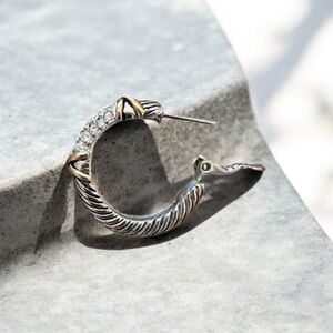 Elegant Silver and Gold Hoop Earring